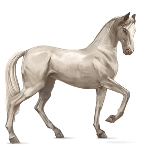 koń wierzchowy quarter horse kasztanowata