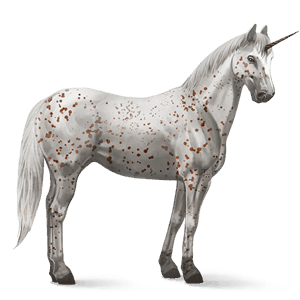 jednorożec wierzchowy appaloosa kasztanowata leopard