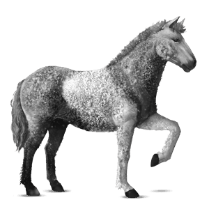 koń wierzchowy koń hanowerski kasztanowata