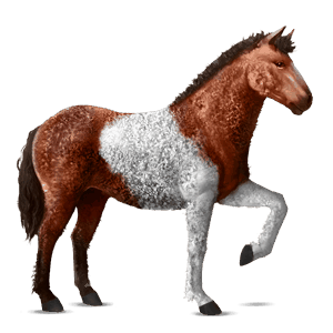 koń wierzchowy koń holsztyński kasztanowata