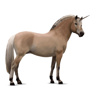 jednorożec kuc koń fiordzki brunblakk