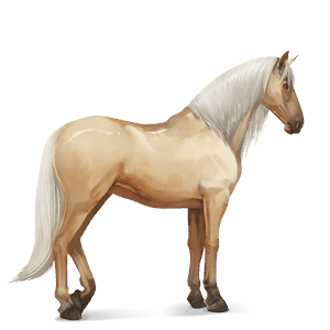 koń wierzchowy koń luzytański skarogniada