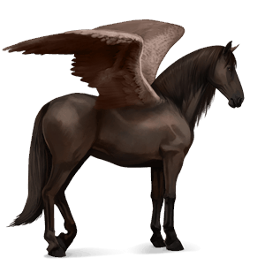 pegaz wierzchowy koń luzytański ciemnokasztanowata