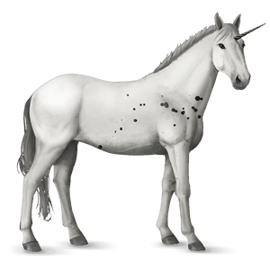 jednorożec wierzchowy quarter horse cremello