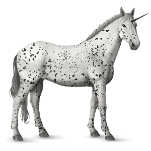 jednorożec wierzchowy appaloosa kasztanowata leopard