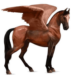 pegaz wierzchowy koń hanowerski jasnokasztanowata