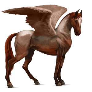 pegaz wierzchowy koń luzytański ciemnogniada