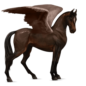 pegaz wierzchowy koń luzytański ciemnogniada