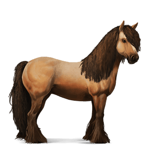 koń wierzchowy koń hanowerski kara