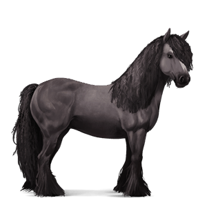 koń wierzchowy koń luzytański skarogniada