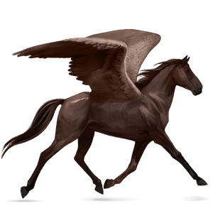pegaz wierzchowy koń hanowerski ciemnokasztanowata