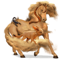 koń wierzchowy koń luzytański kara