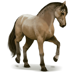 koń z dzikiej kolekcji koń lavradeiro