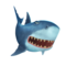 compagnon-shark-sidhe-3.png